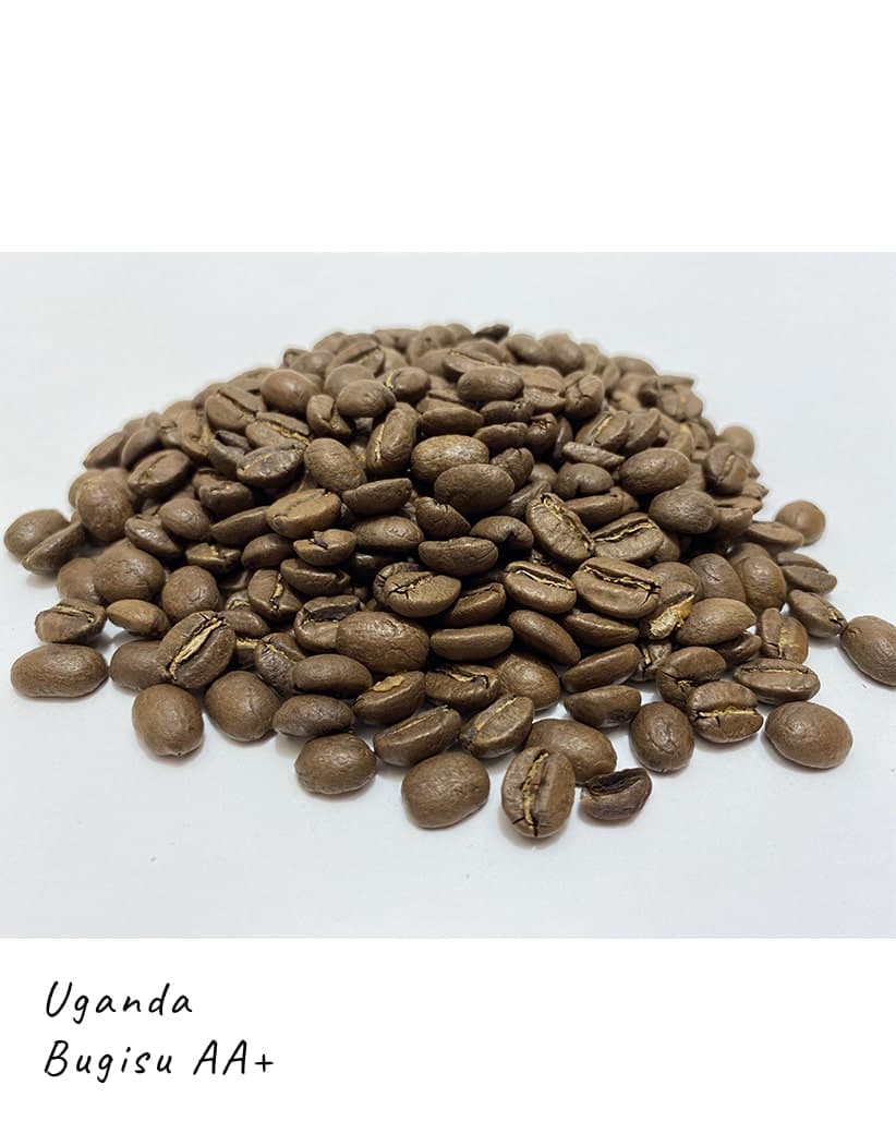 Кава в зернах Уганда Бугису АА+ (Uganda Bugisu AA Plus) 2
