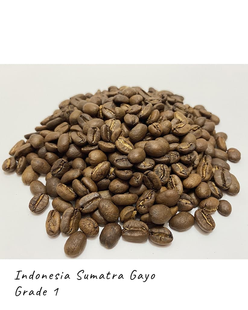 Кава в зернах Індонезія Суматра Гайо (Sumatra Gayo Gr.1 Organic) 2