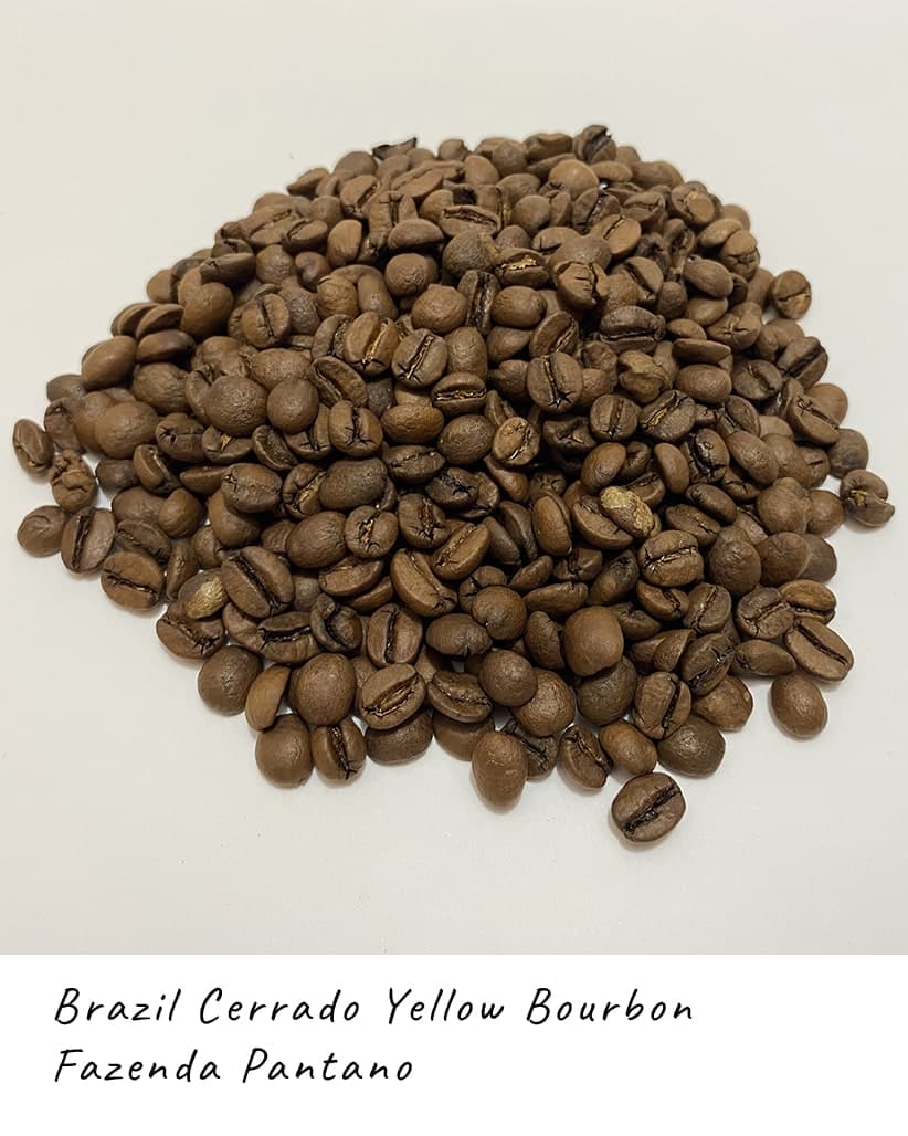 Кава в зернах Бразилія Жовтий Бурбон Серрадо Фазенда Пантано (Cerrado Yellow Bourbon - Fazenda Pantano) 2